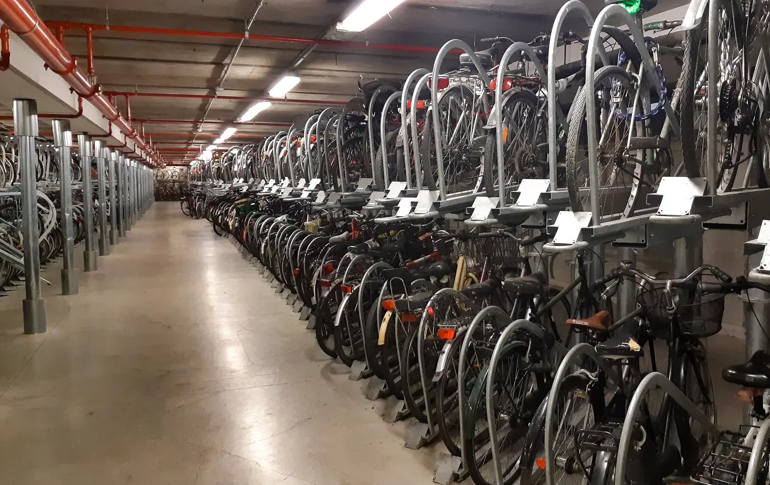 Organizacja garażu rowerowego - systemy przechowywania i konserwacji